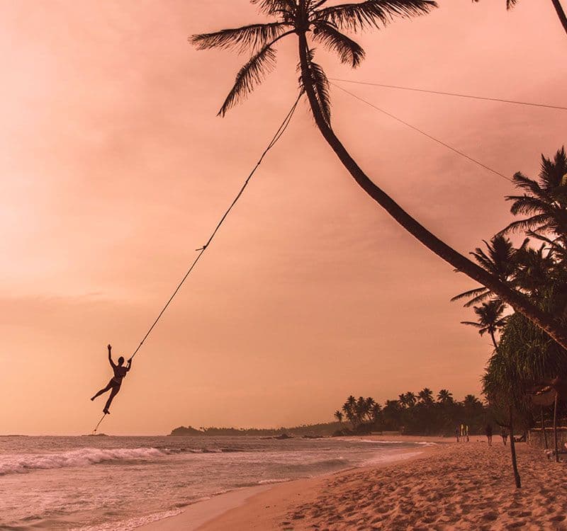 Dalawella Beach The Coastal Swing
